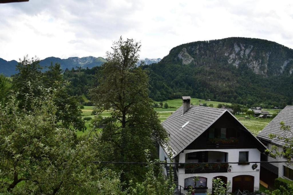 V Objemu Gora Bohinj Exterior foto