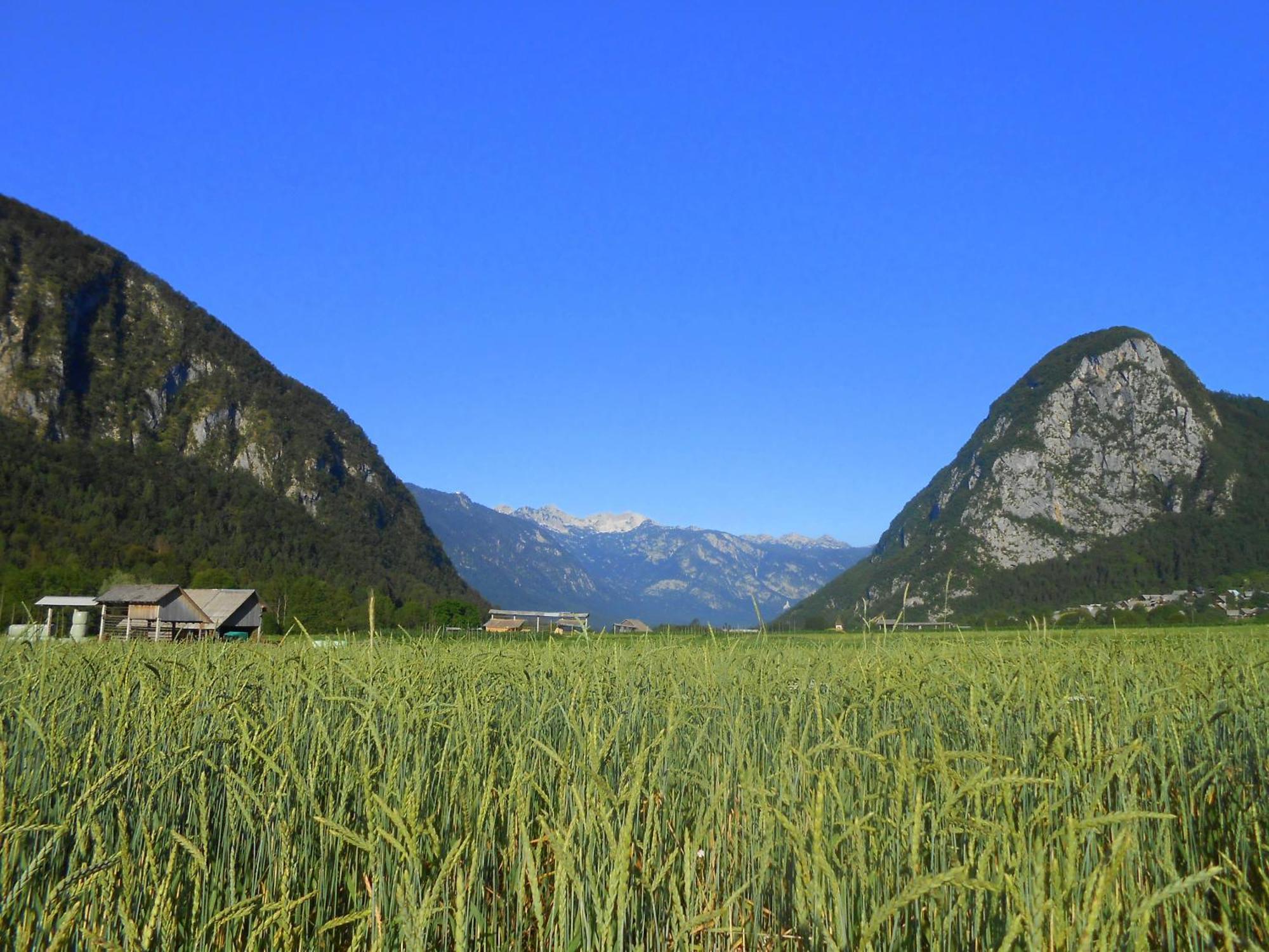 V Objemu Gora Bohinj Exterior foto