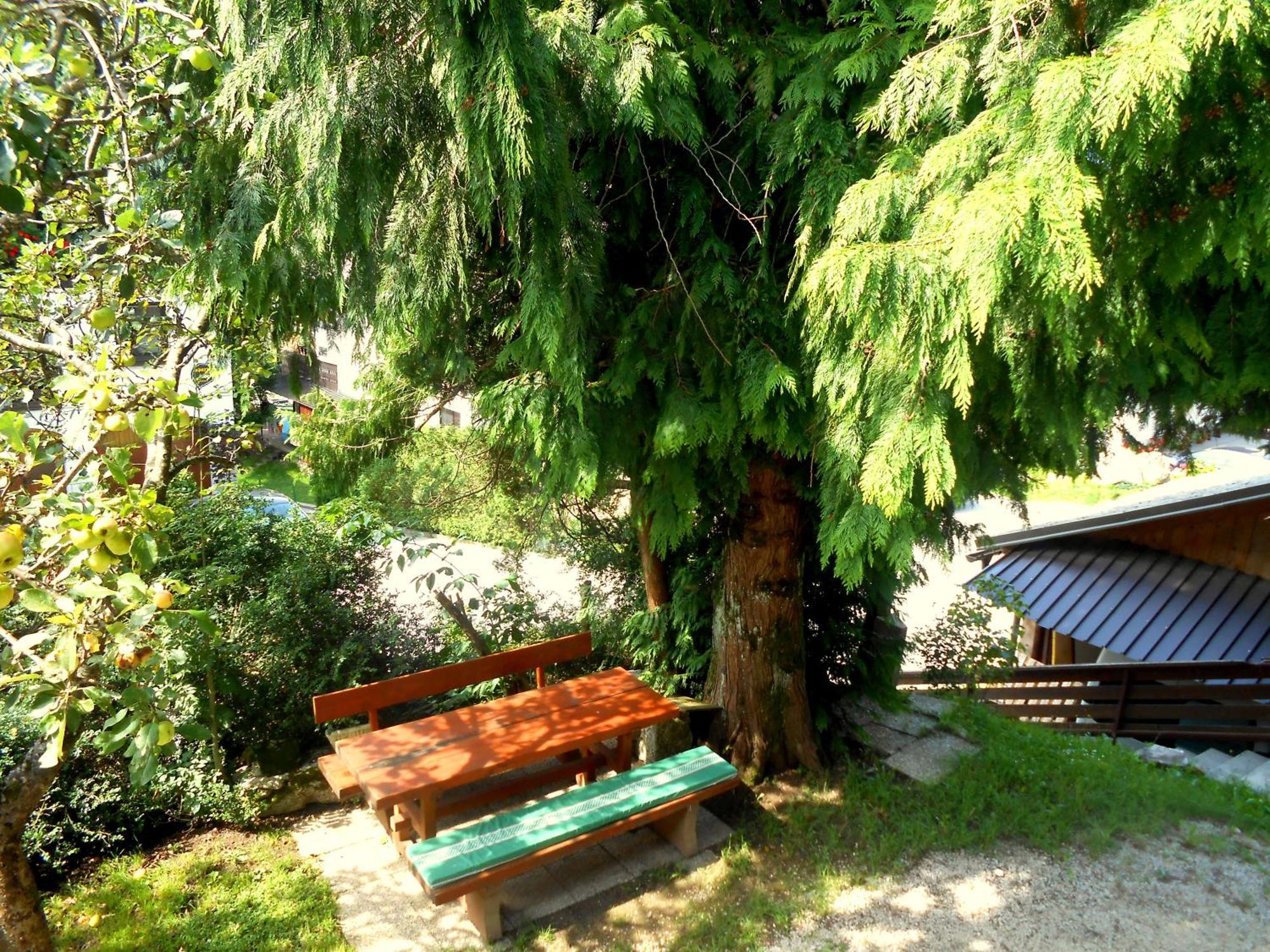 V Objemu Gora Bohinj Exterior foto