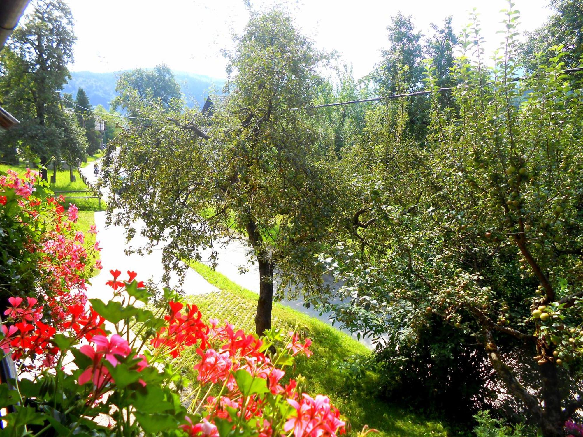 V Objemu Gora Bohinj Exterior foto
